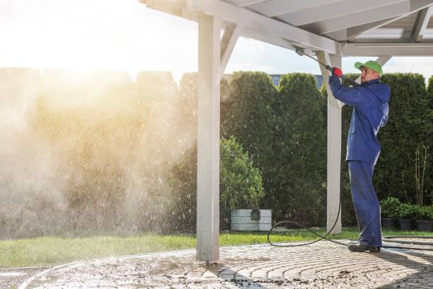 Best Sidewalk and Walkway Cleaning  in East Quincy, CA